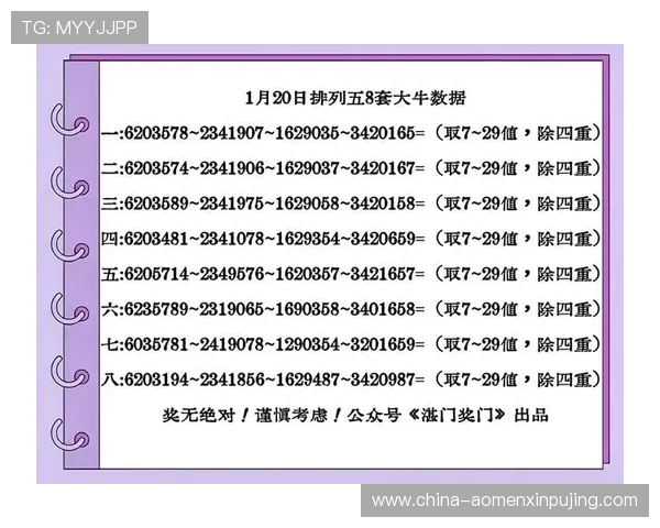 六合彩网页版丰富的历史数据分析，提升中奖概率的必备工具
